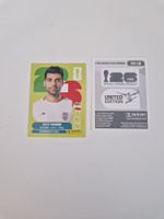 Panini Sticker IRN18