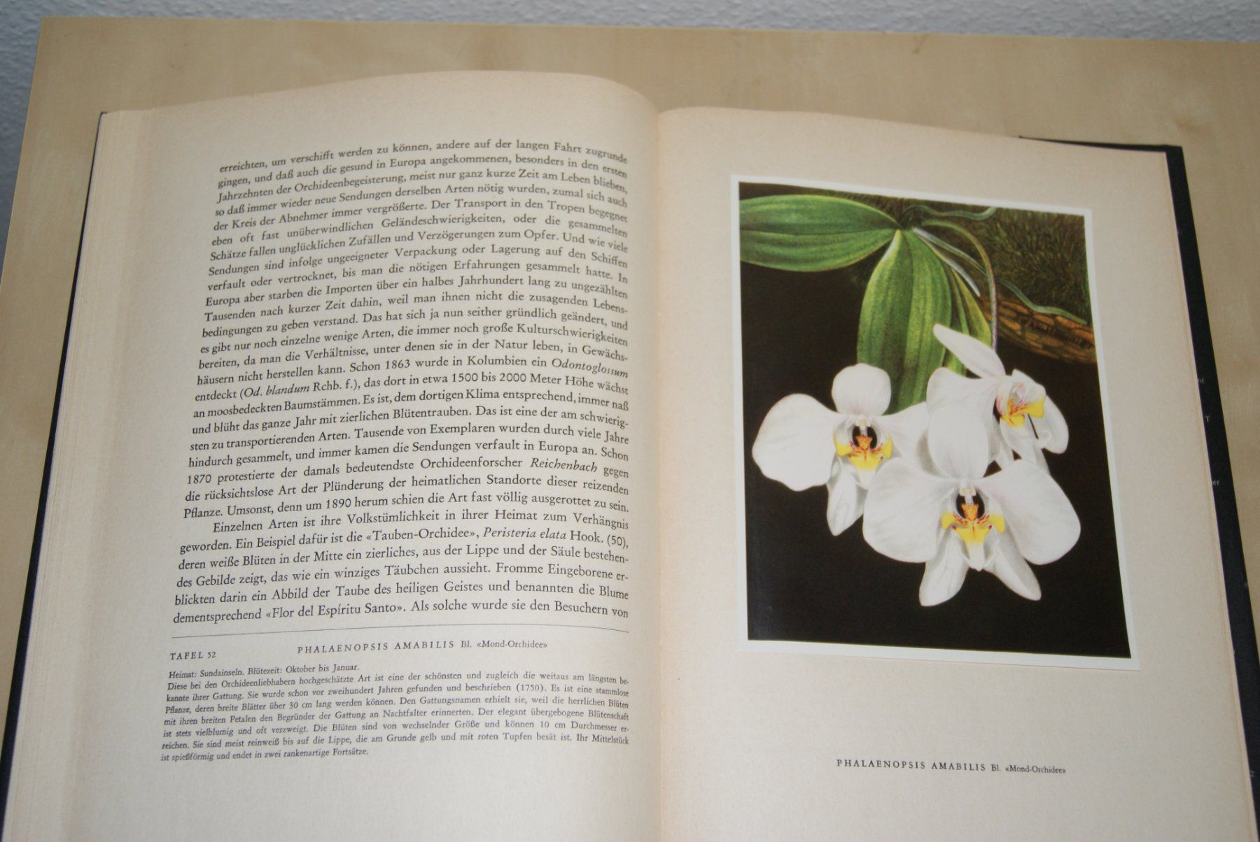 Libri: Orchideen. Silva-Bilderbuch Erste Auflage – Usato da Zürich venduto da Widi1 4