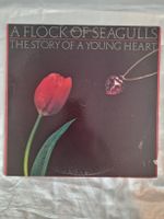A Flock of Seagulls - The Story of a Young Heart