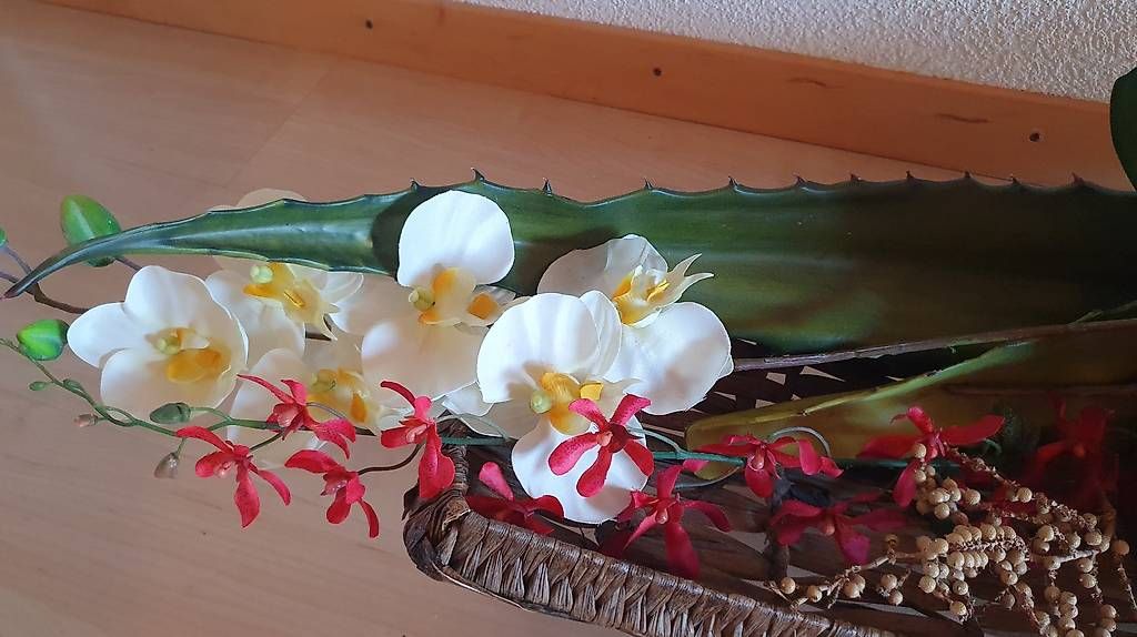 Toutes les décorations: Wunderschöne Deko – D'occasion à Bubikon par Mis_nl7l 3