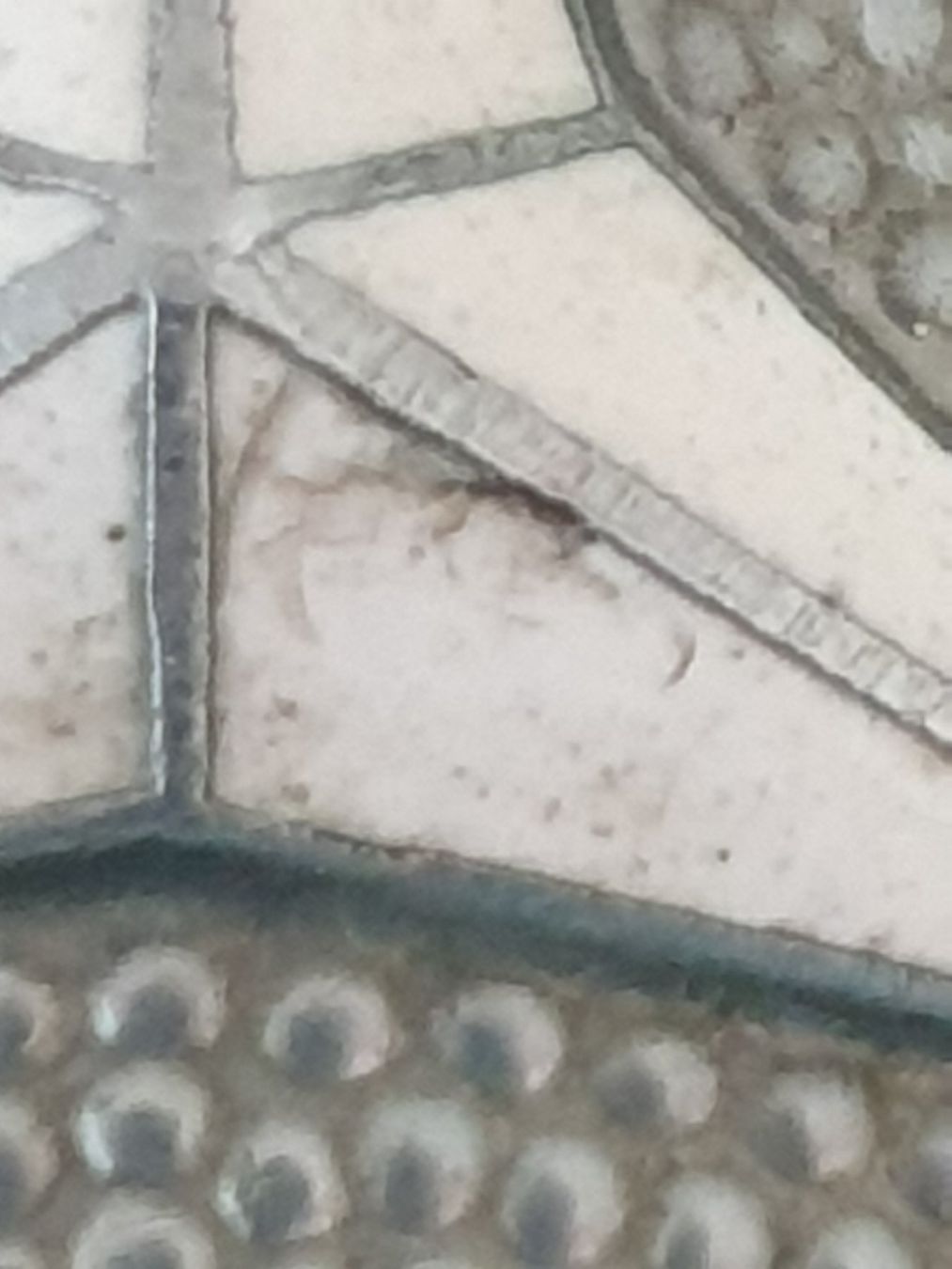 Mercedes-Benz Alle Autoersatzteile: MERCEDES BENZ Emblem – Gebraucht aus Mörschwil von spirspi 2