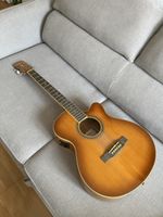 Acustic Guitar Palmer