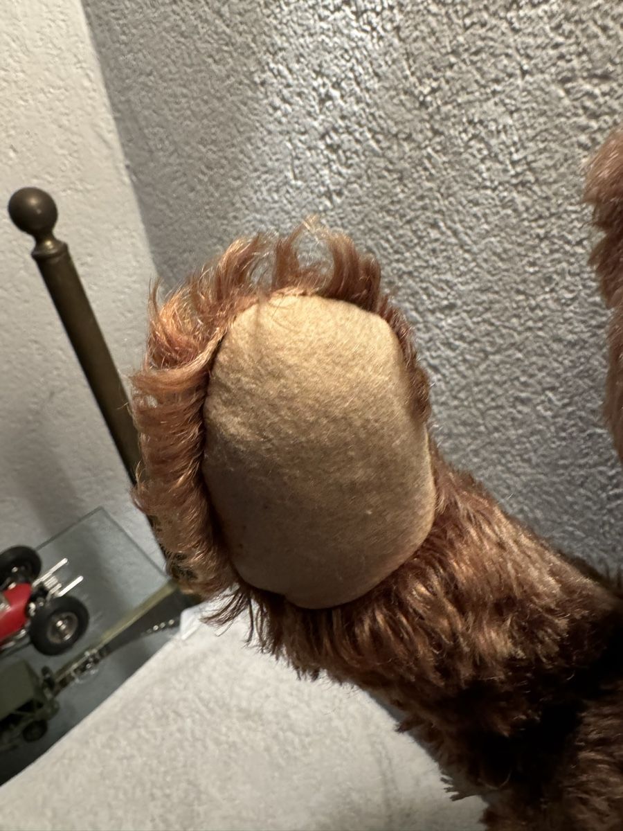 Steiff Giocattoli: Steiff Teddy – Usato da Binningen venduto da kal_5nsj 6