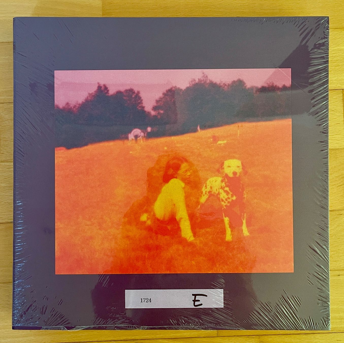 Dischi in vinile: Eels Blinking Lights & Other Revelations Deluxe Boxset Vinyl – Nuovo e nell'imballaggio originale da Untersiggenthal venduto da Randipan
