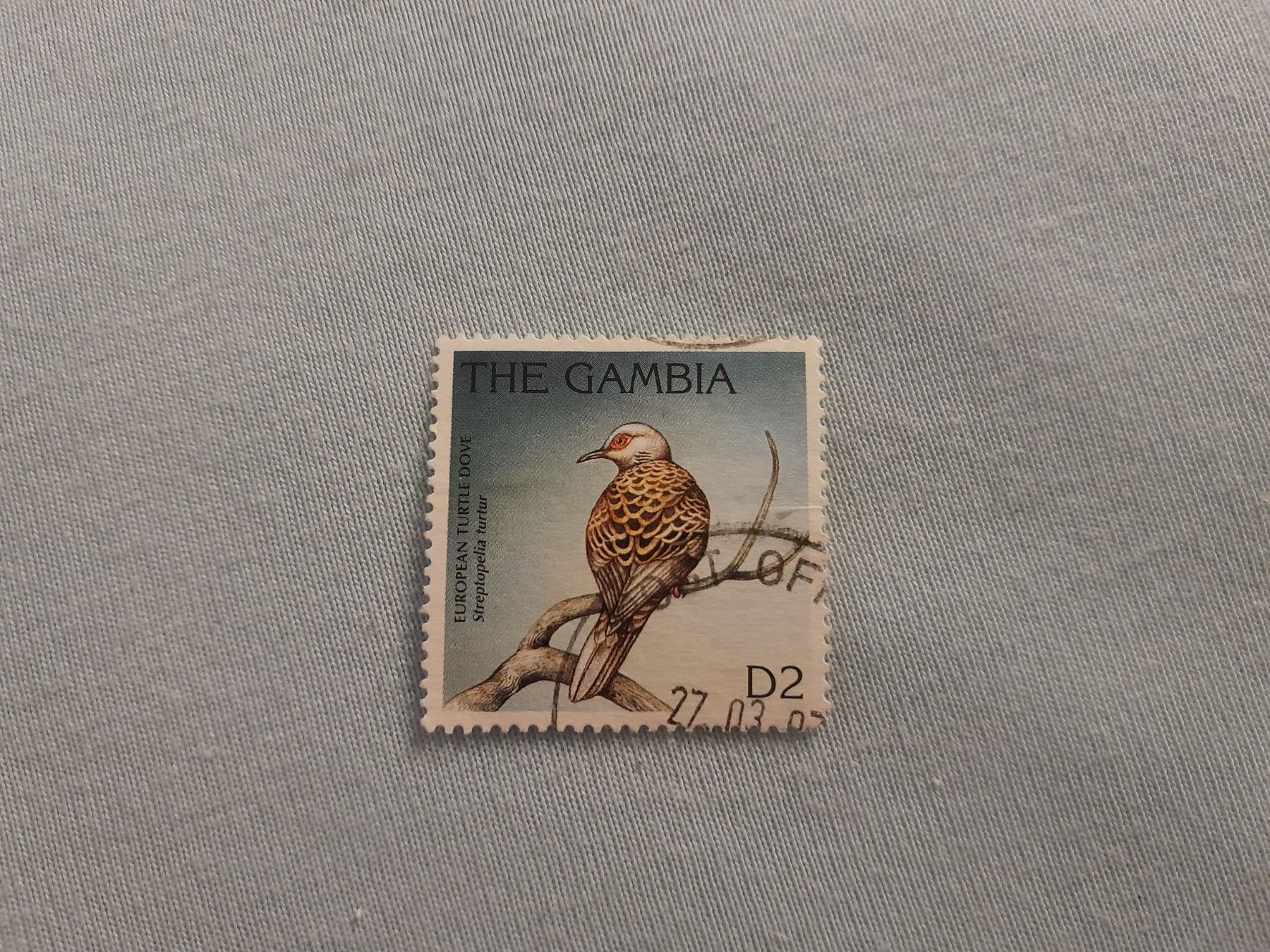 Tutti i francobolli: Gambia Vögel – Usato da Marly venduto da globetrotter1723