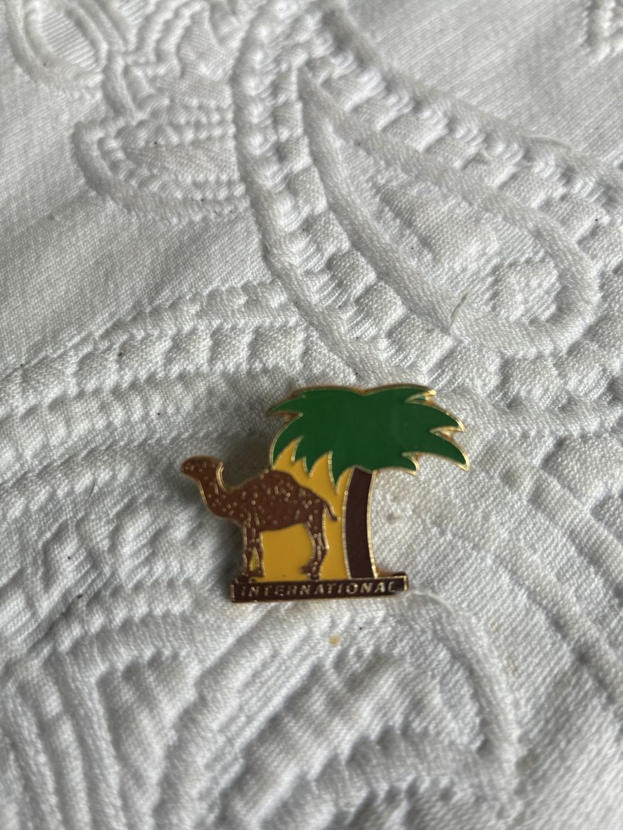 Placchette & Badge: Ägypten Pins Sammlung, 9 Stück, Kamel, Pyramiden – Usato da Ebnat-Kappel venduto da ponyhales 5