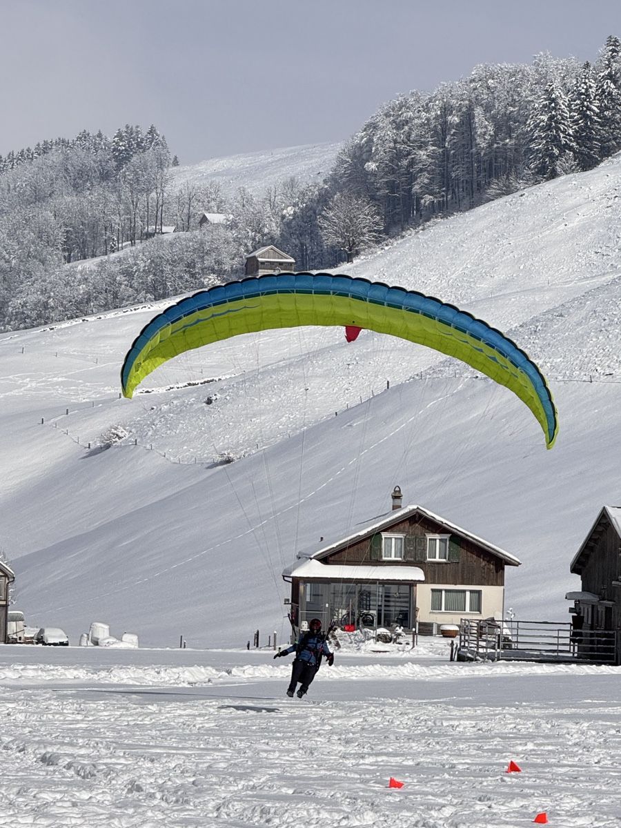 Sport dell'aria & Aquiloni: Swing Mito2 rs xs – Nuovo (secondo la descrizione) da Buchs ZH venduto da logischoder