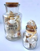 Dekoflaschen mit Muscheln Maritim 2er Set