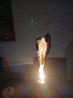 Altstoffkünstlerei hat einen besondere Lampe geschaffen
