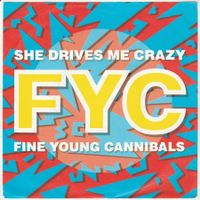 Fine Young Cannibals - She drives me crazy 7" Vinyl 1988