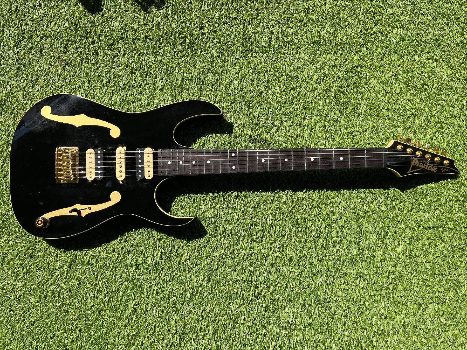 Ibanez Strumenti musicali: Ibanez PGM50 – Usato da Windisch venduto da Daredevil7 1