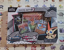 Coffret Collection Poster Foudre Noire & Flamme Blanche - FR