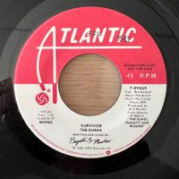 Dukes - Survivor / US-Promo 1982