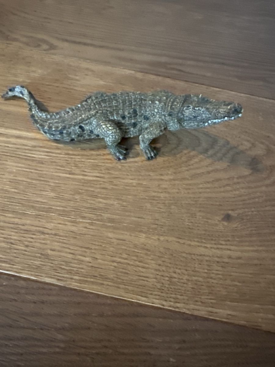 Schleich Giocattoli: Schleichtier Krokodil – Usato da Pratteln venduto da Nala78 1