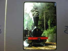 Dia: SBB Lok Genf in Sommerau 1978