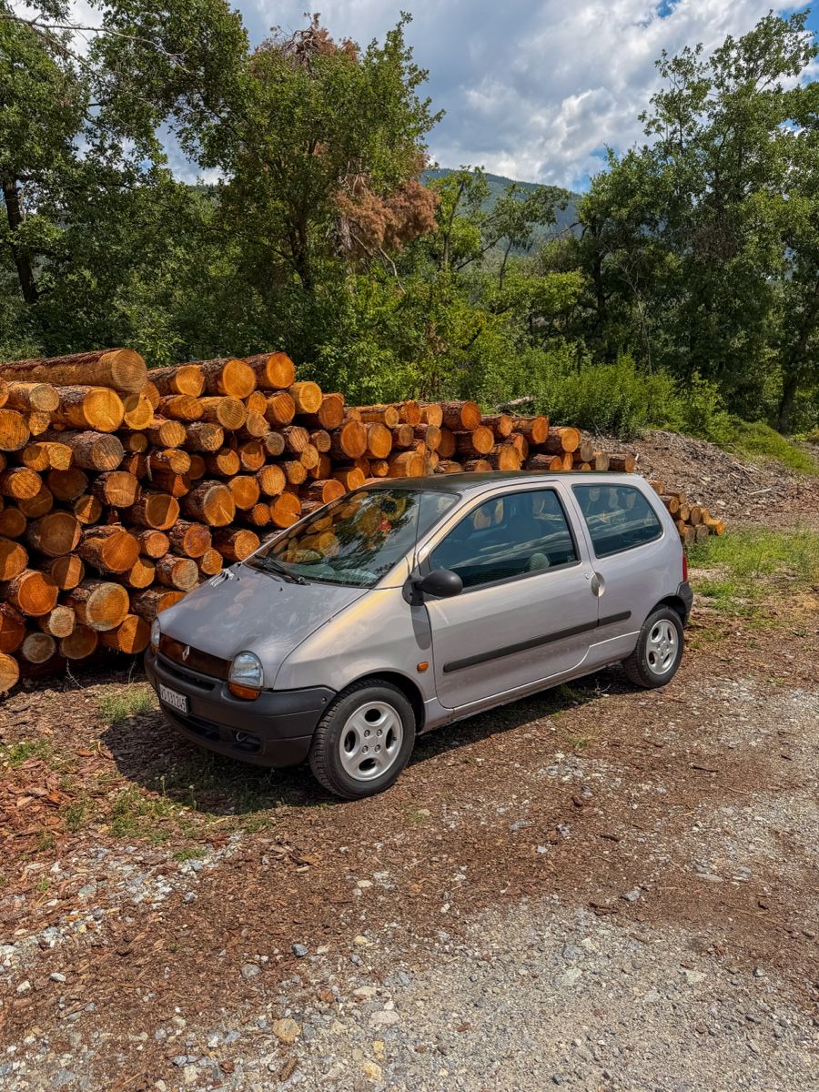 Renault Autos: Renault Twingo 1.2 8v – Gebraucht aus Niedergesteln von lbayard4