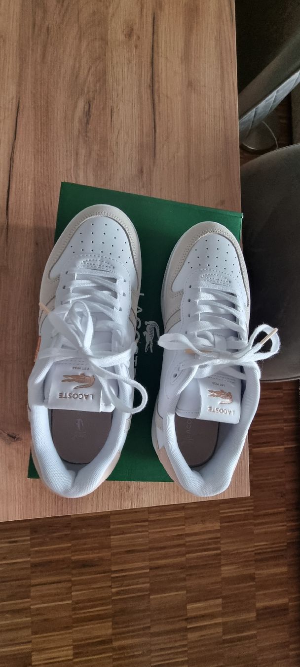 Lacoste Scarpe da donna: Lacoste T-Clip Sneaker, Neu, Grösse 39 – Nuovo (secondo la descrizione) da Meilen venduto da Angelinaa98 3