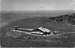 Originale Ansichtskarte Berggasthaus Niederhorn 1956