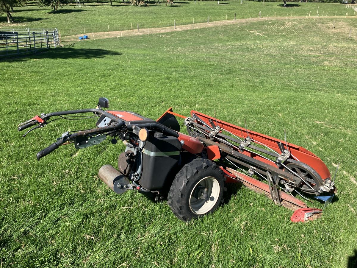 Bucher Toutes les machines: Motormäher Bucher – D'occasion à Mörschwil par Guschti012 5