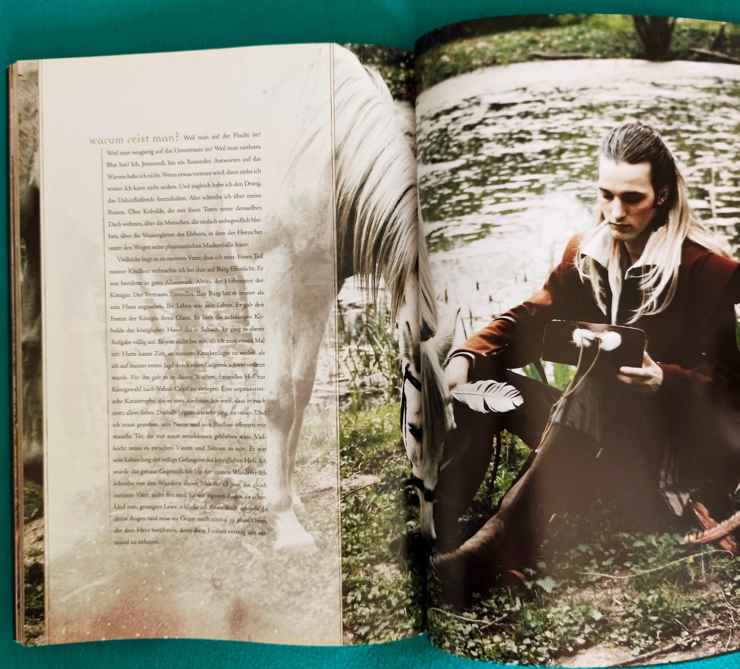 Bücher: Buch Elfenwelten Bernhard Hennen A4 Format – Gebraucht aus kloten von Docsgirl 6