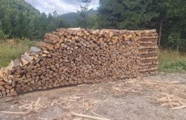 Fichten Brennholz 1m 1Ster trocken