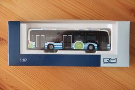 Rheintalbus 1:87