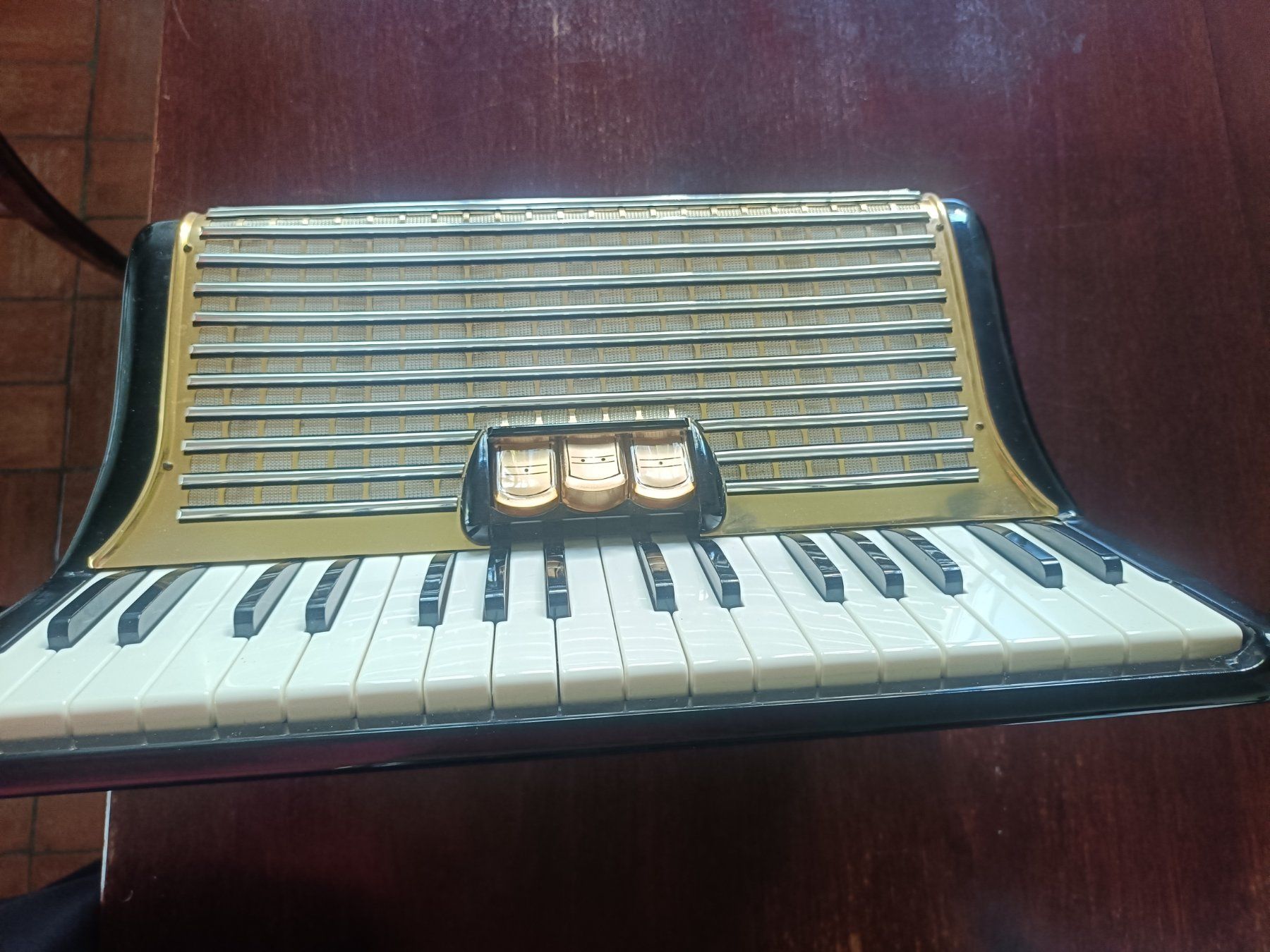 Hohner Strumenti musicali: Hohner Concerto II Akkordeon mit Koffer – Usato da Lugano venduto da riccardo012 7