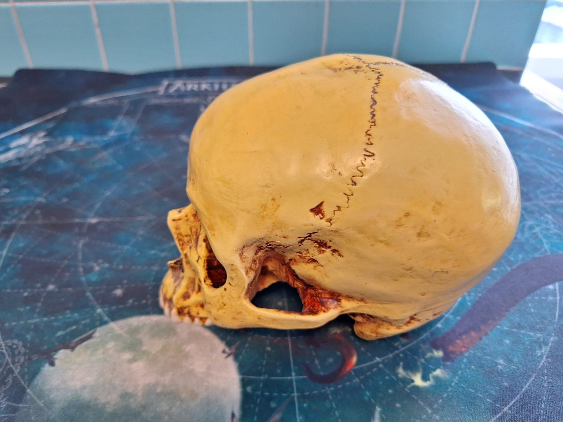 Statuette: Deko Schädel, Totenkopf – Usato da Aarau venduto da bag_t65l 4