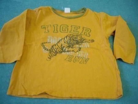 Sweatshirt Grösse 110, orange, Tiger