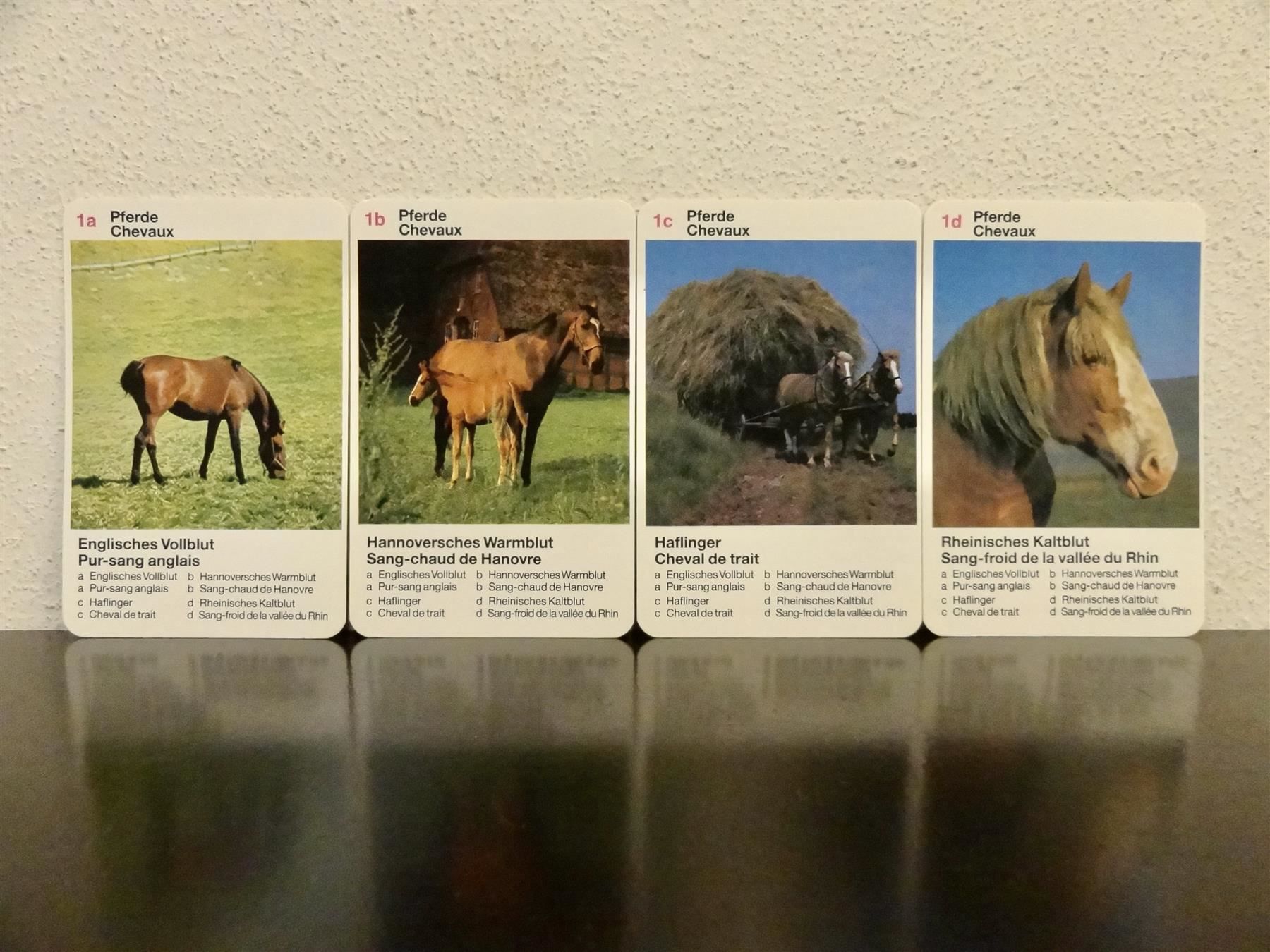 Spiele: Quartett AUF DEM BAUERNHOF TIER-QUARTETT – Gebraucht aus Kerzers von wisaundso 3