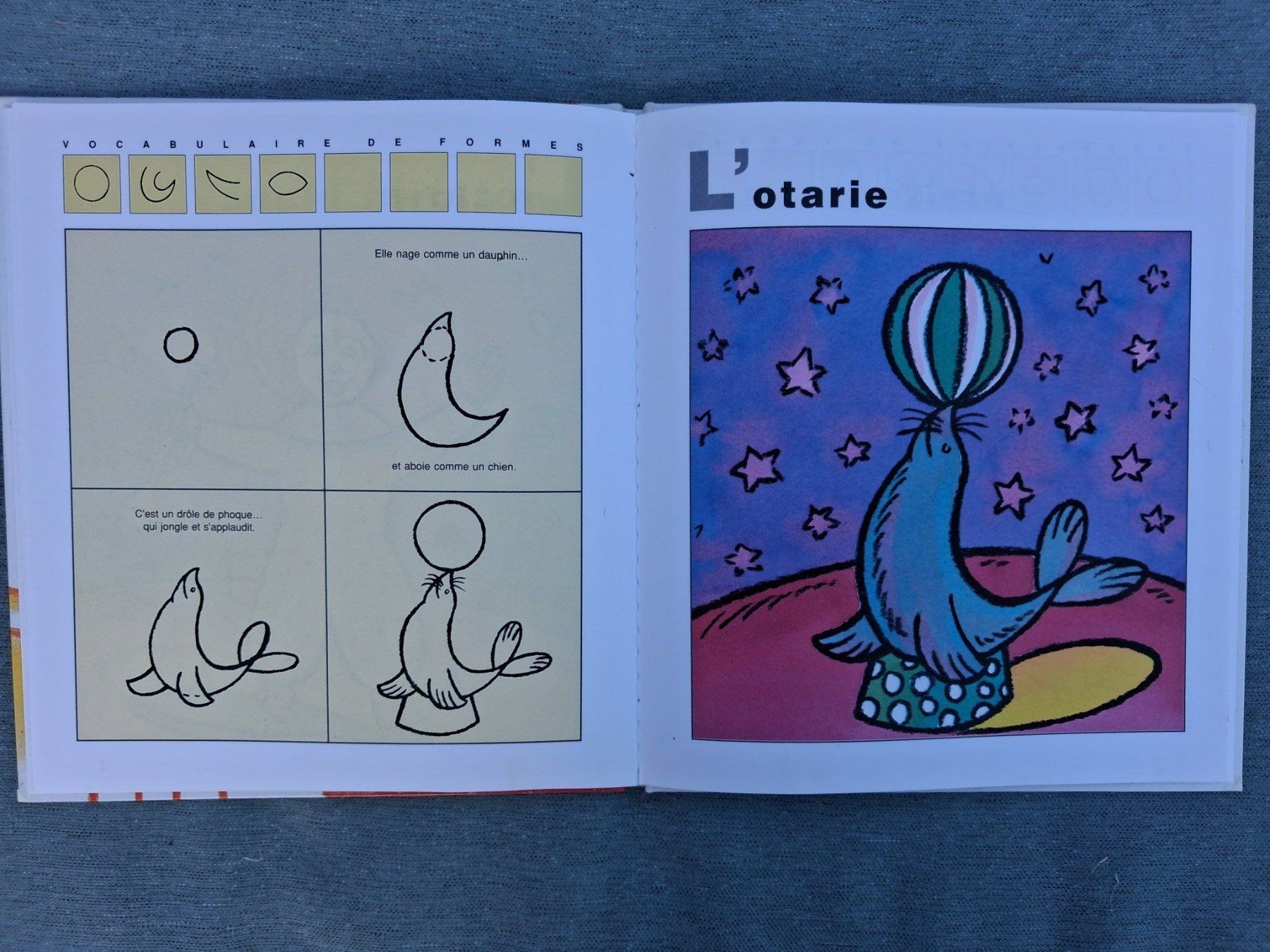 Libri: J'apprends à dessiner le cirque – Usato da Fully venduto da Minouchka 2