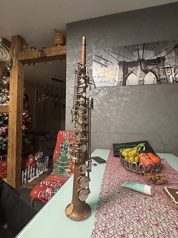 Strumenti musicali: Strumenti musicali – Usato da Münsingen venduto da ron_95rc 2