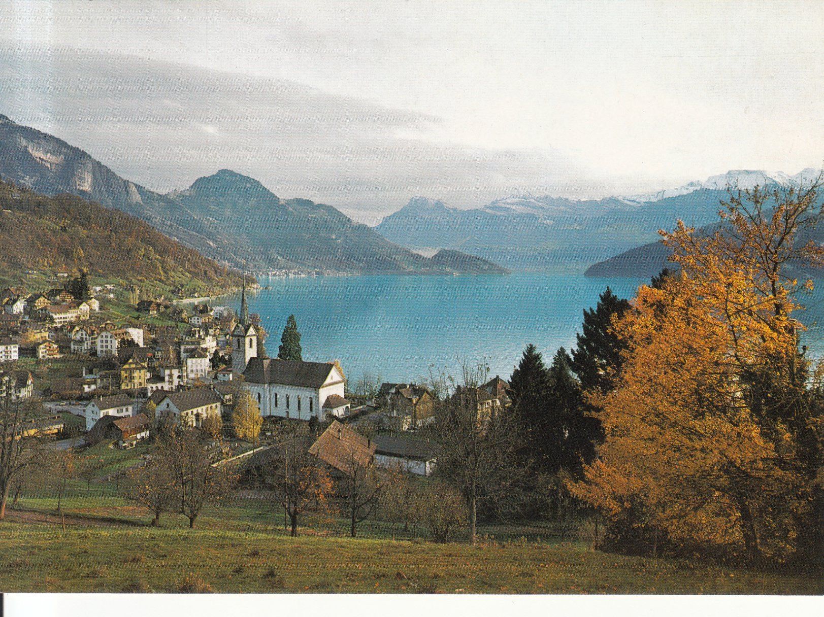 Cartoline postali: Weggis ca. 1970 – Usato da Bürglen TG venduto da StampGraf