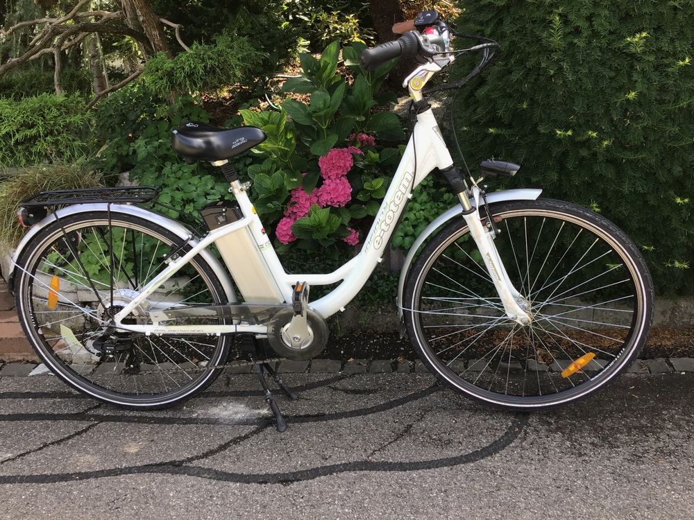 E-Bike, E-Totem Infinitiv | Kaufen auf Ricardo