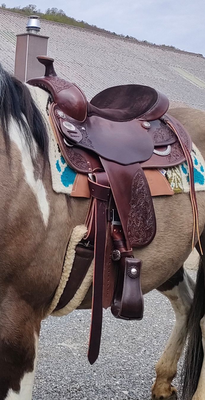 Selle & Accessori: Selle Diamond C – Usato da Alle venduto da oce_vjn7 1