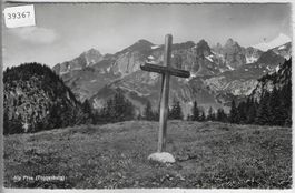 Alp Fros - Wegkreuz - Toggenburgg