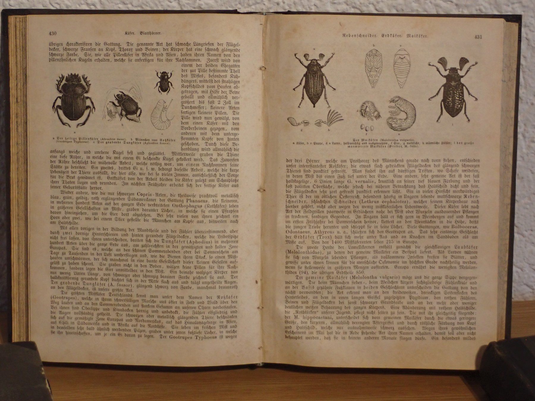 Bücher: Antik  "Brem`s Illustriertes Thierleben", 1860 – Gebraucht aus Winterthur von Minerva_59 5