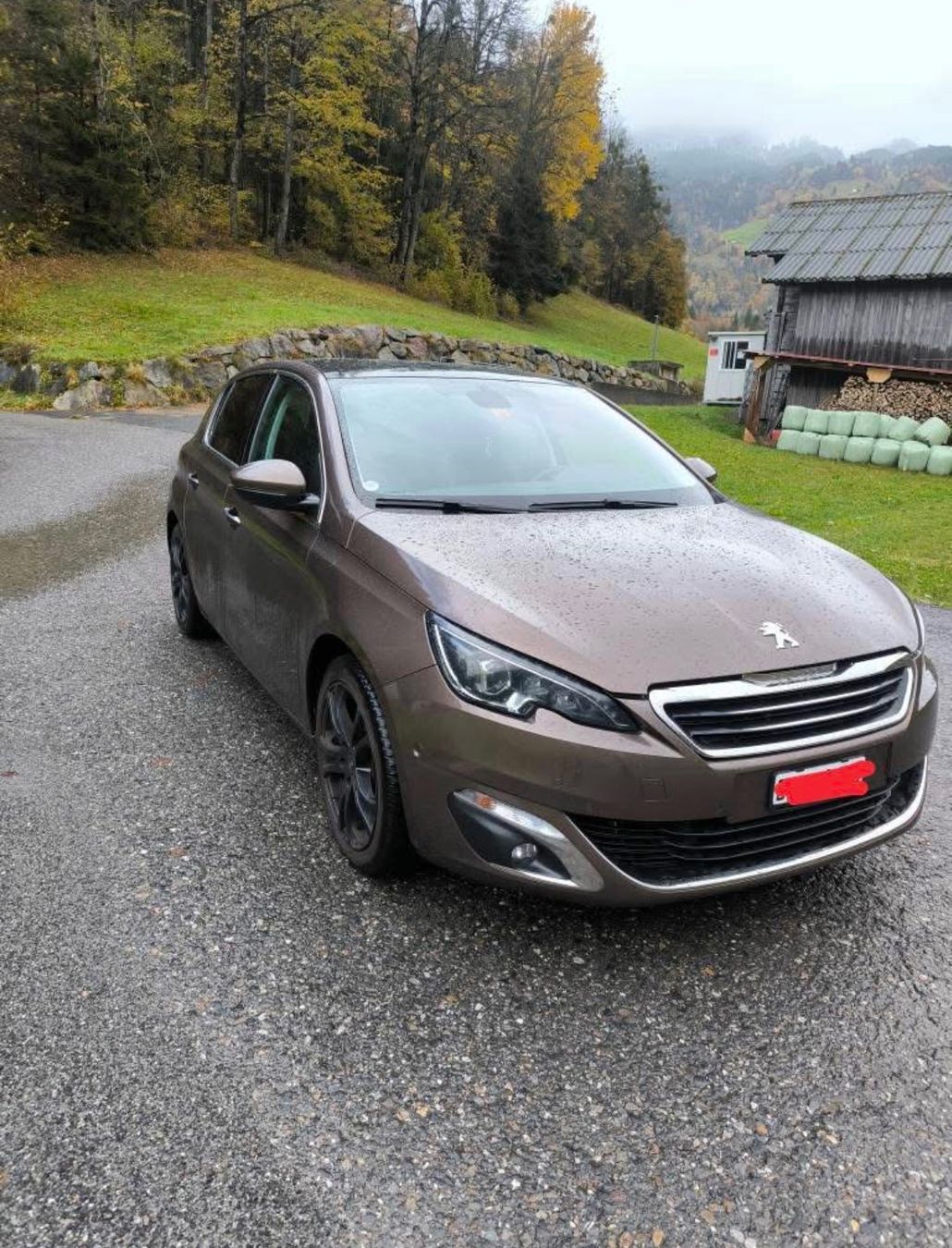 Peugeot Automobili: Peugeot 308 1.6 – Usato da Meiringen venduto da ric_2qn5