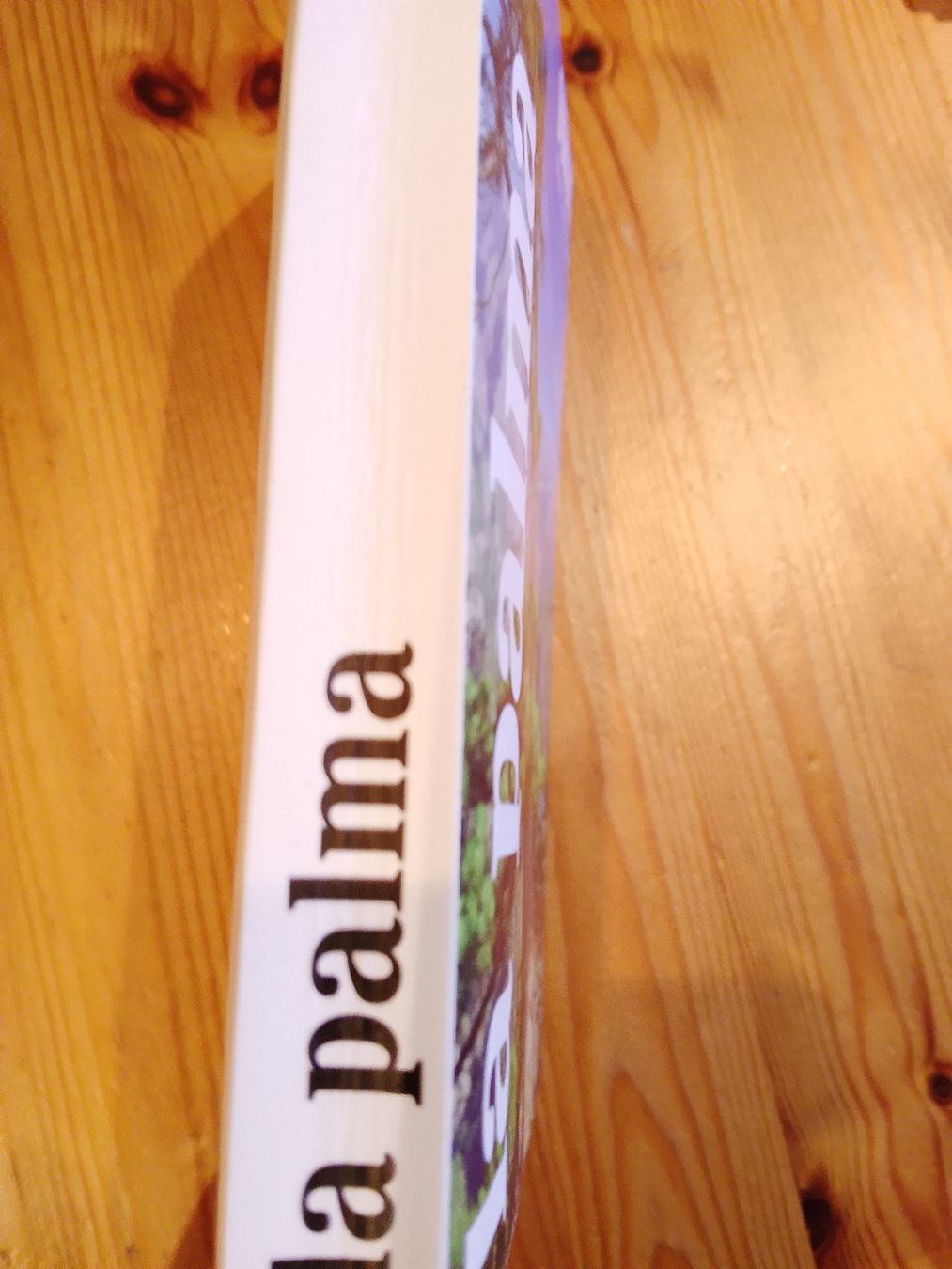 Libri: La Palma – Nuovo (secondo la descrizione) da Volken venduto da katz5 1