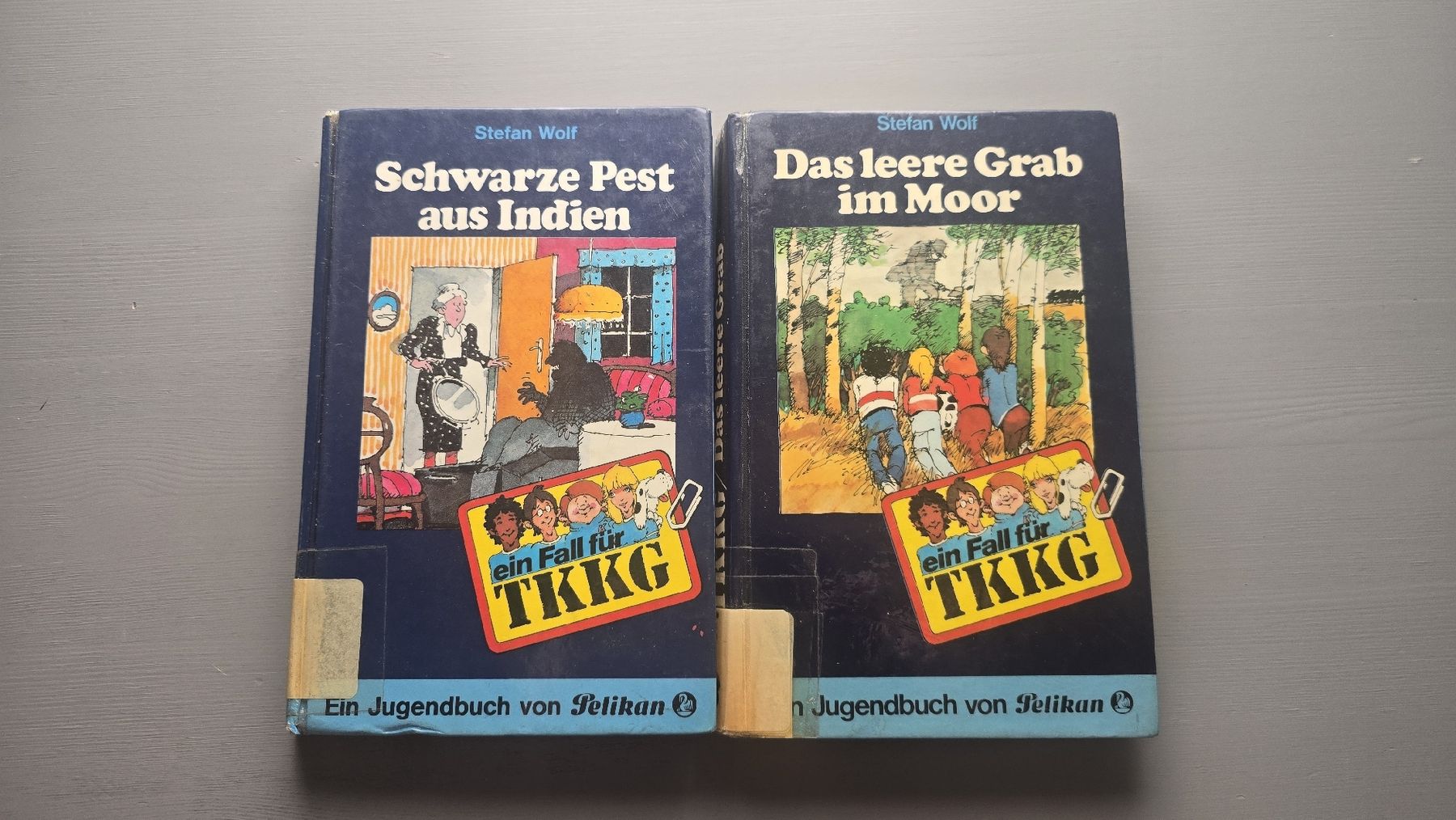 Bücher: Zwei Jugendbücher Stefan Wolf TKKG  – Gebraucht aus Wohlen AG von jan_9l9q