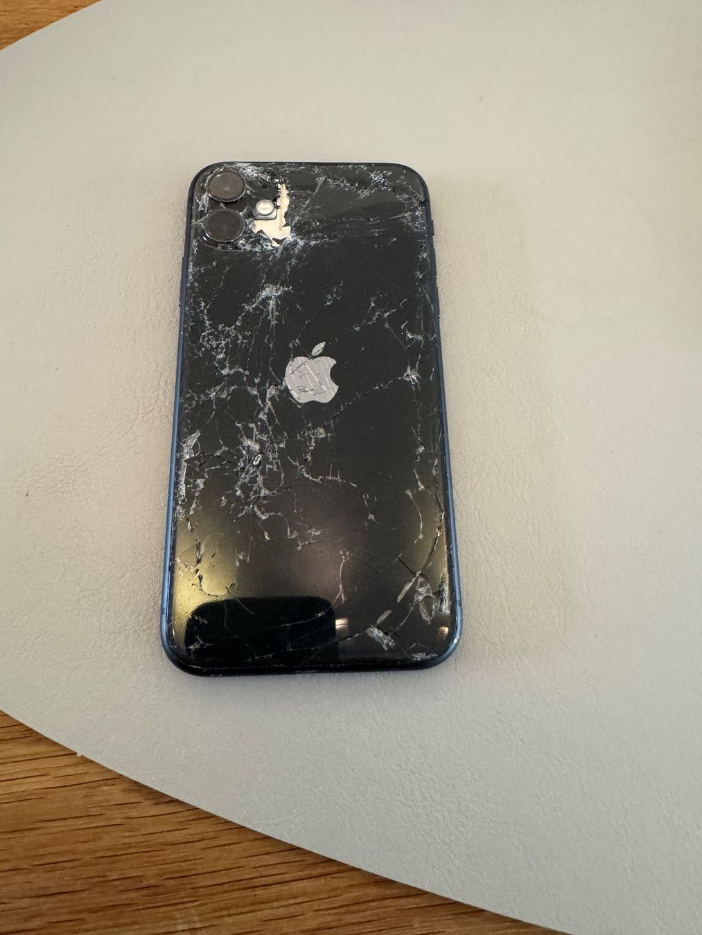Apple Telefoni cellulari / Smartphones: iPhone 11 – Difettoso da Adliswil venduto da Busys 1