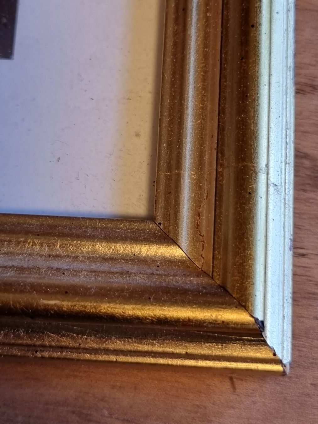 Foto & Immagini: Engel Putten Kunstdruck Goldrahmen Glas – Usato da Scharnachtal venduto da devin03 5