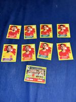 Türkei 9x panini