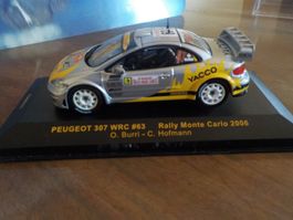 Peugeot 307 WRC Rallye Monte-Carlo 2006.
