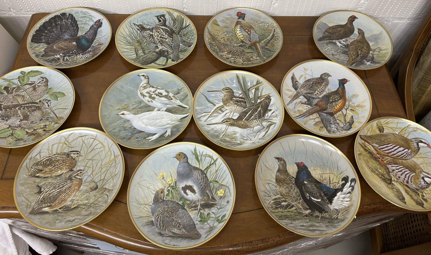 Teller: Les Oiseaux Sauvages Du Monde – Neu (gemäss Beschreibung) aus Gümligen von chrigirici
