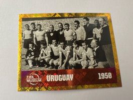 PANINI FWC 10