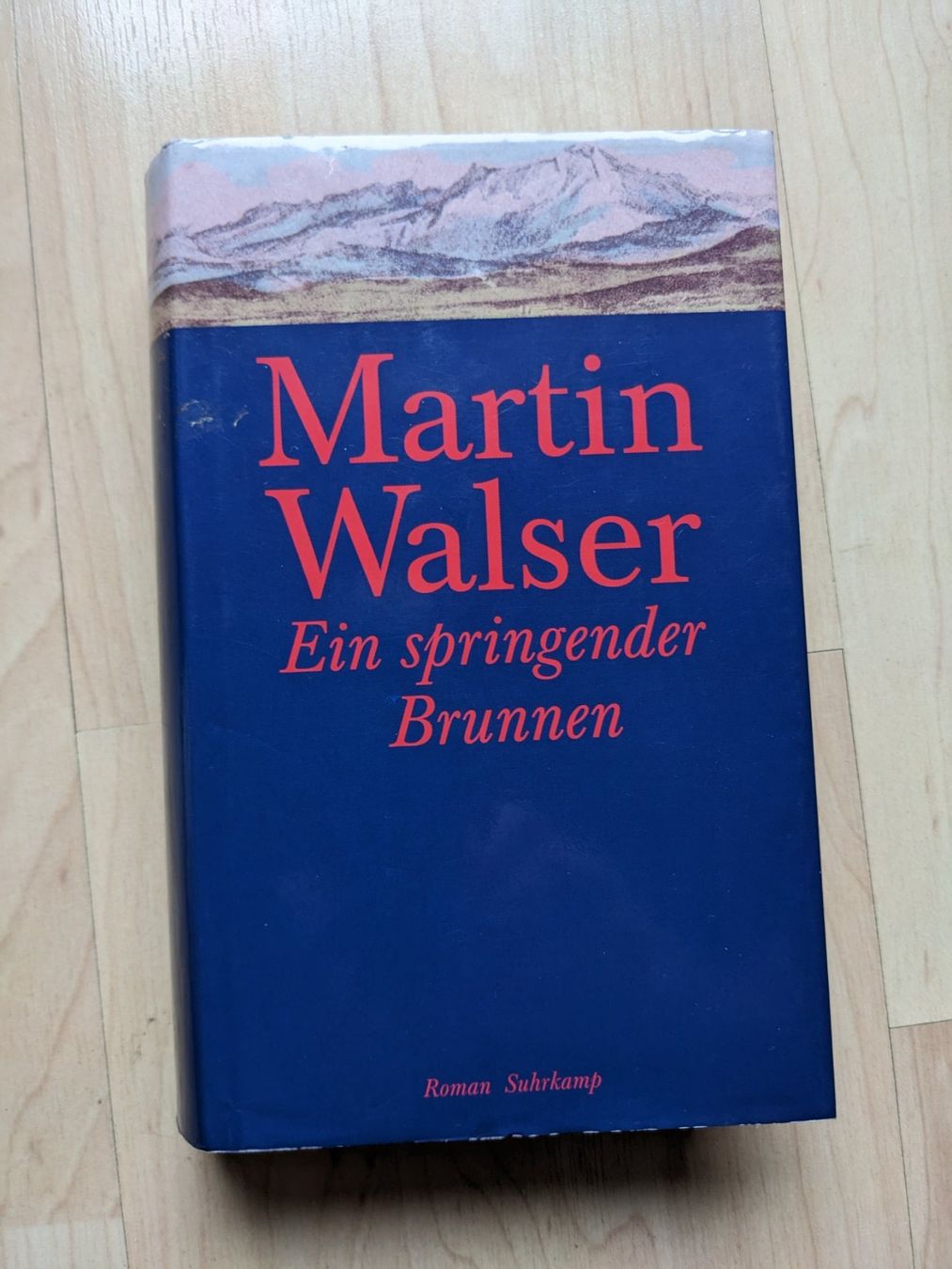 Libri: Martin Walser: Ein springender Brunnen – Usato da Rotkreuz venduto da eulennest