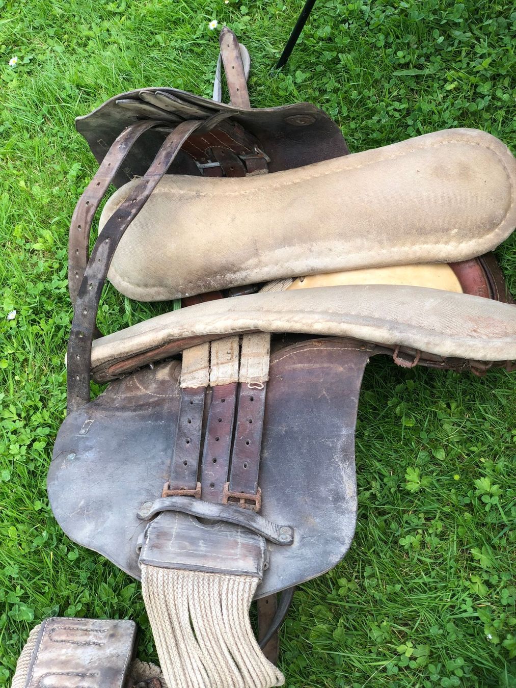 Selle & Accessori: Antiker Ledersattel – Usato da Röschenz venduto da Tashroal 3