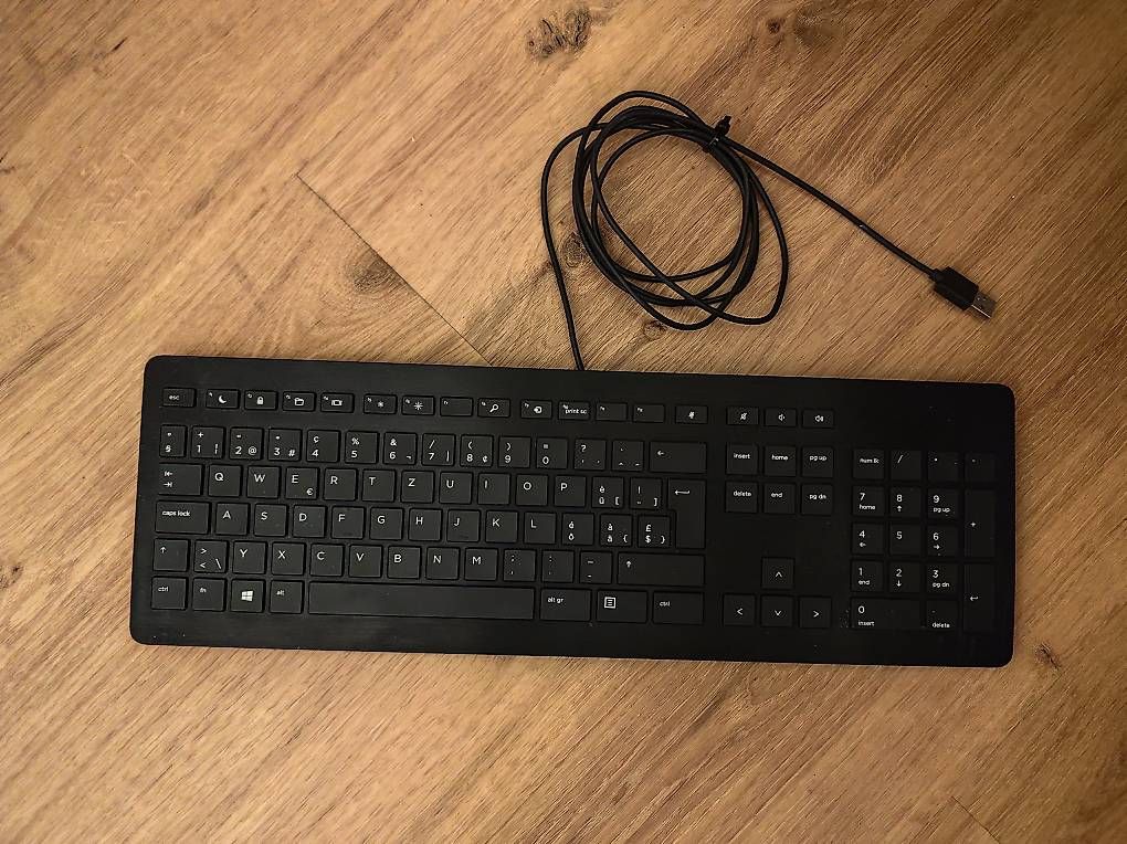 Tastiere: HP USB Keyboard Kabelgebunden – Usato da Sachseln venduto da jas_ch