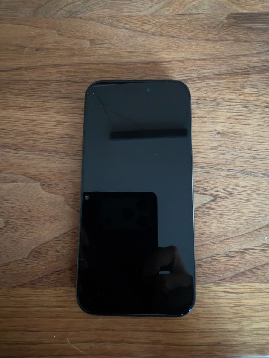 Apple Telefoni cellulari / Smartphones: I phone 15 pro – Usato da Bremgarten AG venduto da ssc_v5pn